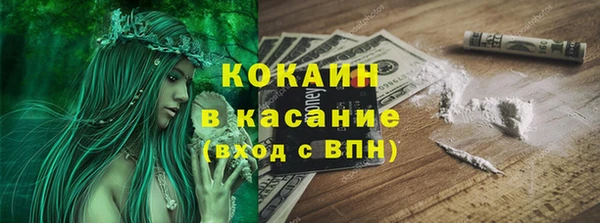 молекула духа Бронницы