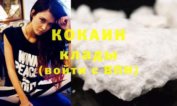 шишки Новодвинск