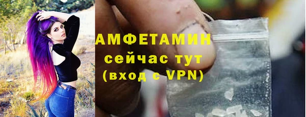 молекула духа Бронницы