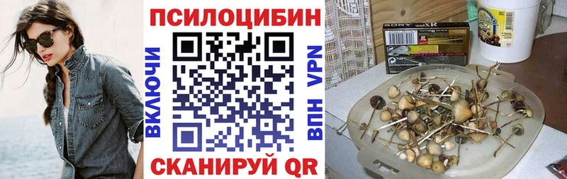 Псилоцибиновые грибы мицелий  где купить наркотик  Лысьва 